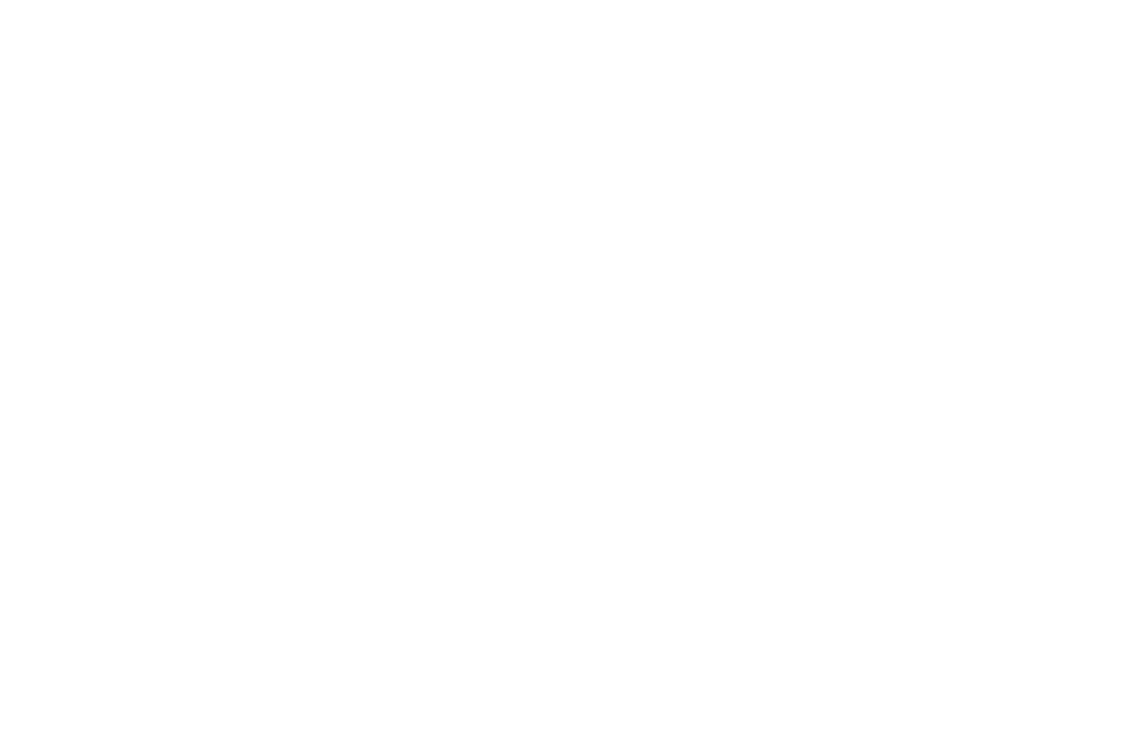 Owner Logo 