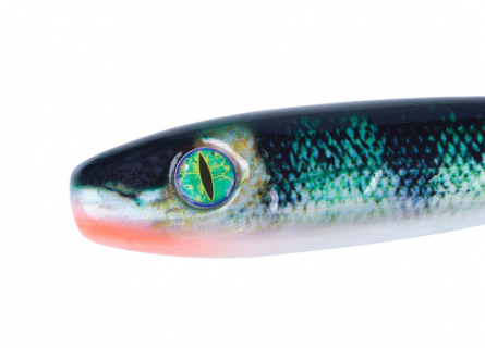 Shirasu Pike Collector Shad UV Augen